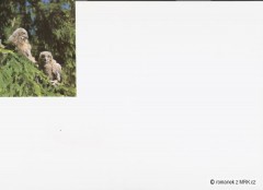 Kliknutím fotografii zvětšíte fotky z naší přírody