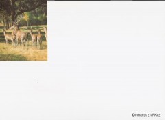 Kliknutím fotografii zvětšíte fotky z naší přírody