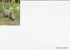 Kliknutím fotografii zvětšíte fotky z naší přírody