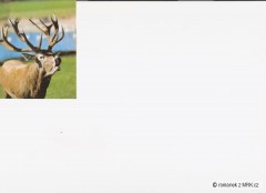 Kliknutím fotografii zvětšíte fotky z naší přírody