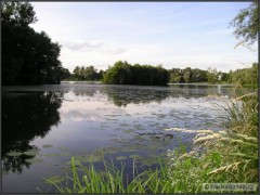 Příroda
