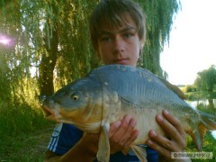 Kliknutím fotografii zvětšíte Kapr 54cm