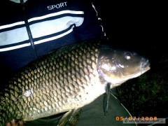 Kliknutím fotografii zvětšíte Kapřík 80 cm.