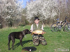 Kliknutím fotografii zvětšíte kapr 60cm na feedr na dombase