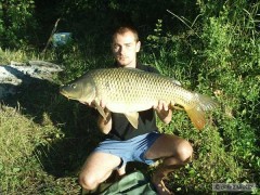 VN Z_Sirava 92cm 11,0kg