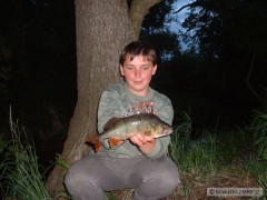okoun 37cm