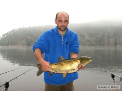 Kliknutím fotografii zvětšíte amur 66
