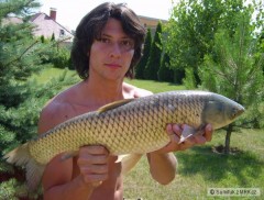 Amur b�l� - 65 cm