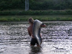 Kliknutím fotografii zvětšíte vrácení mořské panny vodě