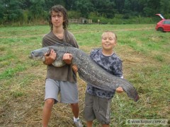 Kliknutím fotografii zvětšíte moji syni nadějní sumcaři sumec 145cm