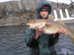Kliknutím fotografii zvětšíte Hitra Fishing
