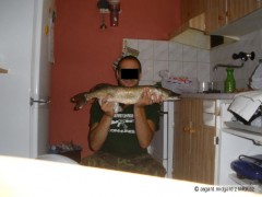 Kliknutím fotografii zvětšíte Štika 63cm