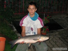 Amur 79