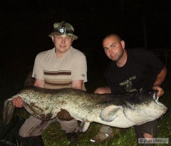 Kliknutím fotografii zvětšíte sumec 192 cm, 40 kg