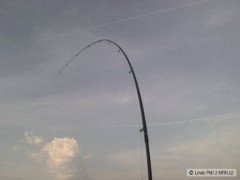 Kliknutím fotografii zvětšíte Kapřik na udici