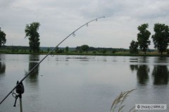 Kliknutím fotografii zvětšíte bordel na vodě