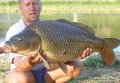 Kliknutím fotografii zvětšíte kapr 82 cm 14 kg osobní rekord