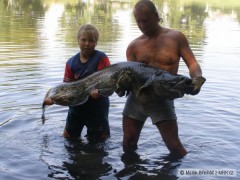 Kliknutím fotografii zvětšíte se synem sumík 160 cm