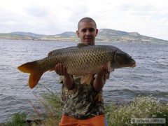 Kapr 87cm Dyje 5,  5.8.2008