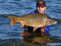 D5-kapr 87cm a 12.6kg