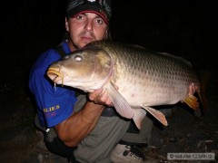 D5-kapr 84cm a 10kg