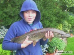 �tika 81cm,4,21kg