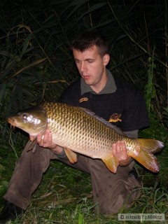 Kliknutím fotografii zvětšíte Kapor-junior 78cm-8,4kg