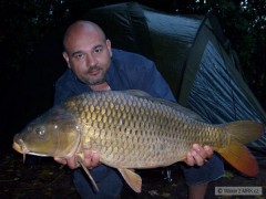 Kliknutím fotografii zvětšíte Labe srpen 2008
