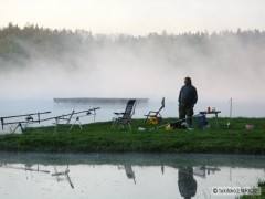 Kliknutím fotografii zvětšíte ráno