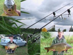 Kliknutím fotografii zvětšíte ryba