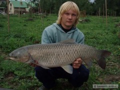 Kliknutím fotografii zvětšíte amur