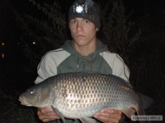 Kliknutím fotografii zvětšíte Kapr šupi 65cm