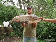 Kliknutím fotografii zvětšíte Berounka 08/2008