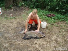 Kliknutím fotografii zvětšíte Berounka 08/2008