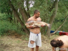 Kliknutím fotografii zvětšíte Tolstolobik 100cm 28kg