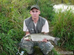 Bolen dravý 63 cm 6.9.2008