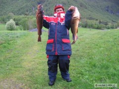 St�edn� Norsko