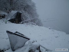 Kliknutím fotografii zvětšíte