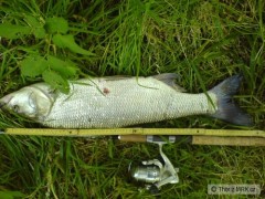 m�j zcela prvn�, 72cm na rota�ku