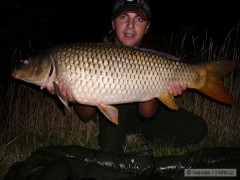 Kliknutím fotografii zvětšíte D5-kapr 82cm a 10.5kg