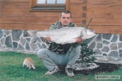 Bolen 99 cm