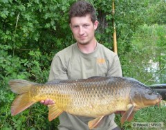 Kliknutím fotografii zvětšíte Kapr 86cm 11,2kg