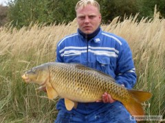 Kliknutím fotografii zvětšíte kapr 83cm,10kg