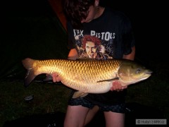 amur 96cm, 12kg