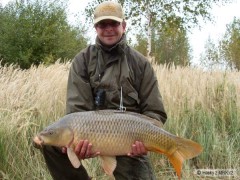 kapr 84cm,11 kg