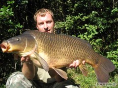 Kliknutím fotografii zvětšíte 74cm 8 kg na ultra red fis ANANAS-NBA