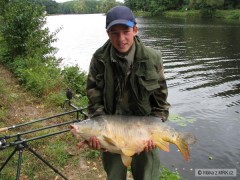 Kliknutím fotografii zvětšíte kapr 82cm z Labe
