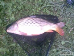 Dnešní 61cm, 4.75kg, vrácen vodě