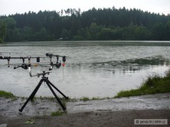 Kliknutím fotografii zvětšíte jinolice 2008