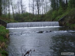 Kliknutím fotografii zvětšíte Lučina 1P
